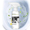 Multi-Purpose Oxalic Acid Stain Removal Spray ( Pack Of 2) for home