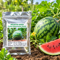Potted small watermelon seeds