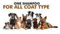 Anti-Itch Dog Shampoo Ditch to Itch (Pack of 2)