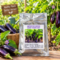 Giant Eggplant Seeds