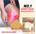 JAPANESE PAIN RELIEF PATCH