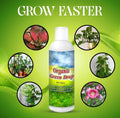 Organic GreenDrop Plant Food Liquid Fertilizer For Plant Growth & Greening Pack of 1