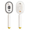 Steam Hair Brush Comb