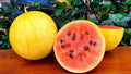 Golden Red Watermelon Seeds