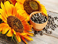 Chocolate Sunflower Seeds