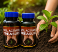 Soil Activated Treasure Premium Soil Activator 200gram