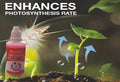 New Plant Growth Enhancer Supplement, Plant Grow Enhancer Supplement, Promotes Rooting, Rescue The Disease Seedlings