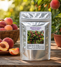 Peach Tree Seeds