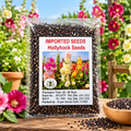 Imported Hollyhock Seeds