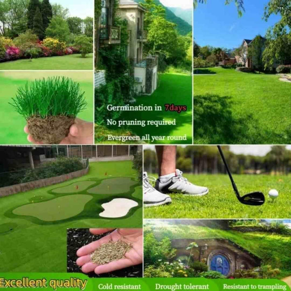 Garden & Plants