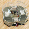 Reusable Cockroach Traps